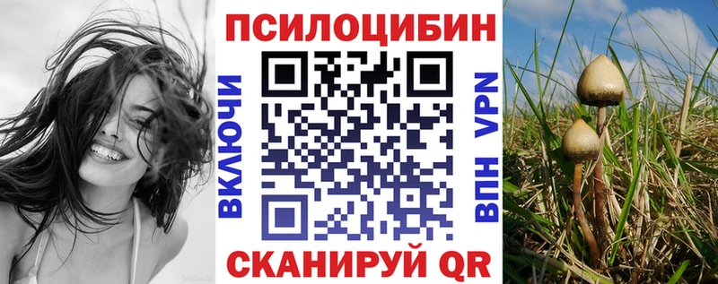 Псилоцибиновые грибы Psilocybine cubensis  магазин продажи   Балаково 